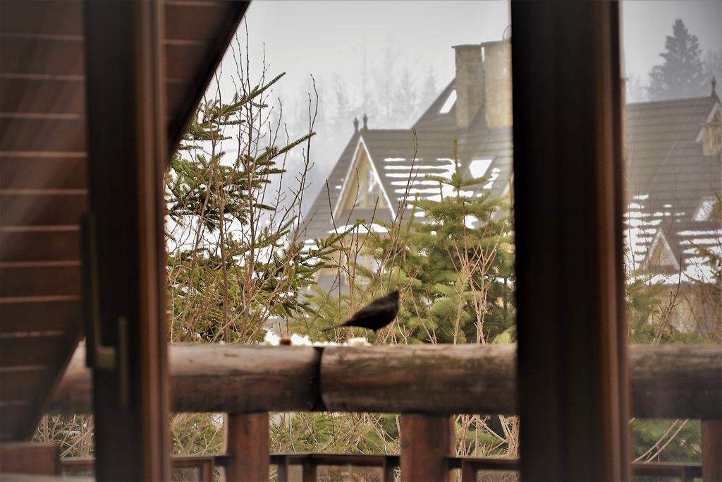 Apartament Twoj Giewont Zakopane กอสเชียลิสกอ ภายนอก รูปภาพ